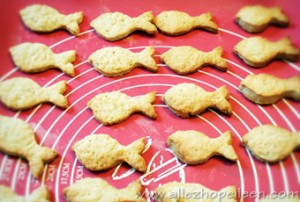 Poissons au chocolat 06