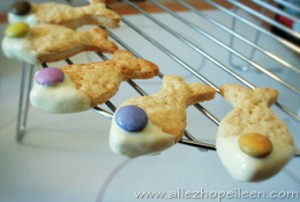 Poissons au chocolat 11