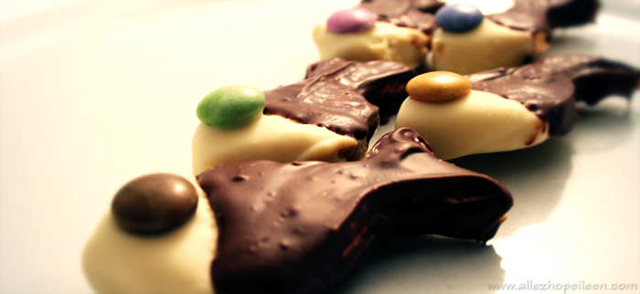 Poissons au chocolat