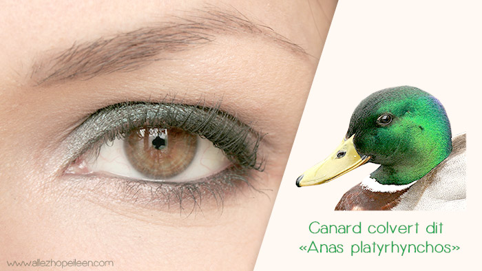 tuto maquillage vert avec club de chez MAC