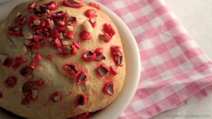 Recette brioche aux pralines roses - brioche de Saint Génix