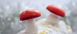 recette-champignon-meringue-deco-buche-08-1500x660