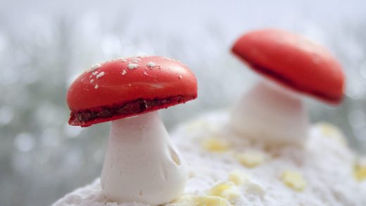 recette-champignon-meringue-deco-buche-08-1500x660